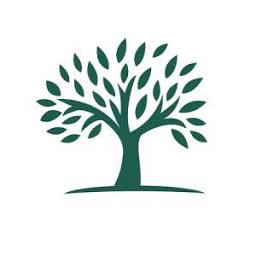 Naissance Marketing logo