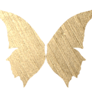 Enchanted Fairies logo