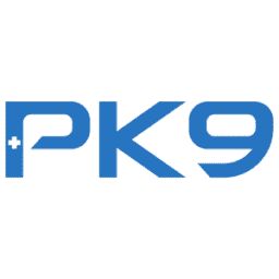 PK9 Consulting logo