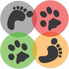 Royle Safaris logo