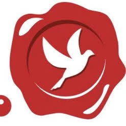 Tradingcardsnl logo