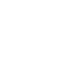 Mcnevin Family Caravans logo