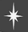 North Star Storage logo