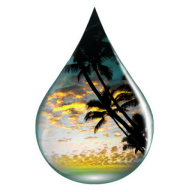 Cbdforthepeople logo