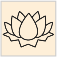 Candlelilley logo