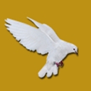 Lawrence & Associates Solicitors logo