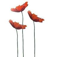 Poppies Florists logo