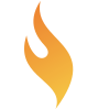 Direct Stoves logo