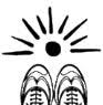 Shinebuddi logo