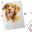 Paintable Pictures logo