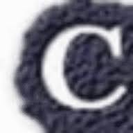 CaipsNotes.com logo