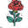 The Satin Rose Shop logo