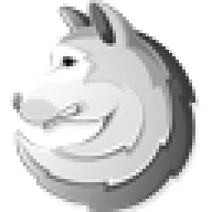 Shawn DeWolfe Consulting logo