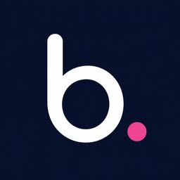 Bubly Bathrooms logo