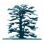Stubbings Nursery & Café logo
