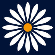 Daisy Group logo