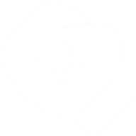 Fishpunch - On Location Motion Capture logo