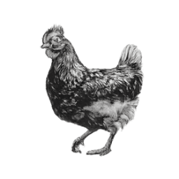 Knowl End Farm logo