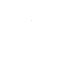 Clean and Sweep logo