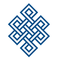 BSG Financial Solutions logo