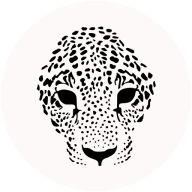 Zanderm logo