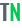Transcriptionnow logo