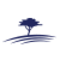 Solenta Aviation logo