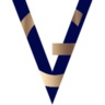 vazirgroup.com logo
