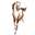 celticranch.com logo
