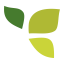 CbdOilsReview.com logo