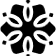Synaesis logo
