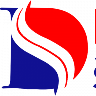 Dynamic Security Solutions Ltd logo