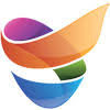 Snsg logo