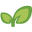 Organicindiaseeds logo