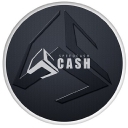 SpeedCash logo