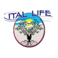 Itallife logo