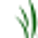 Strokescribe logo