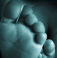 Reflexology in Sussex logo