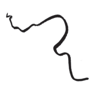 thatflowershop.co.uk logo