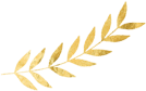 Bespokevenuedecor logo