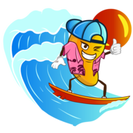 Hawaii Spins logo