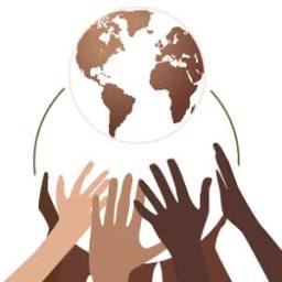 diasporainsurance.com logo