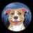 Junihdogstore logo