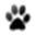 Agilitum logo