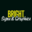 Bright Signs logo