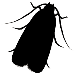 Moth Exterminator logo