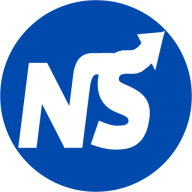 Next Success Inc logo
