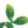 Stitchgreen logo