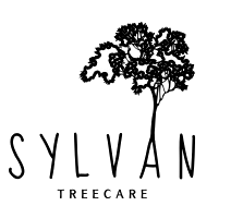 Brightontreesurgeon logo