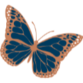 Papilioaesthetics logo